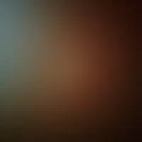 کد ۴ دوازده سال خاموش