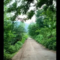 ویلا  اجارهی  در جای دنج