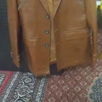 کاپشن چرم|لباس|مشگین شهر, |دیوار