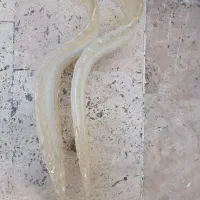 لوستر دیواری کریستالی شیک|لوستر و چراغ آویز|تهران, دزاشیب|دیوار