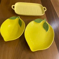 ظروف پذیرایی نو