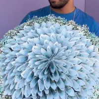 دسته گل پول ارایی|گل مصنوعی|مشهد, نوید|دیوار