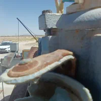 کارگر کشاورزی ماهر جهت کار در شهربابک