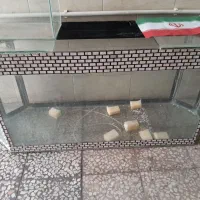 اکواریوم بزرگ