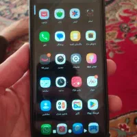 شیامی پکو c71