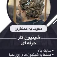 استخدام شینیون کار