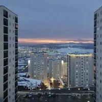 جذب سرمایه‌گذار در پردیس