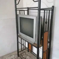 تلوزیون در حد نوع