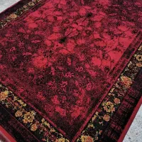 بین آن ها پیوستگی و اتصال بر قرار است. فرش/