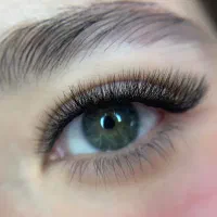 مژه|خدمات آرایشگری و زیبایی|رشت, کاکتوس|دیوار