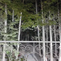 ویلایی-490-متری-جنوبی-امیریه-مرداویج-شیخ-صدوق