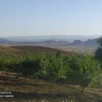 باغ-1000-متری