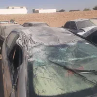 سمند تصادفی