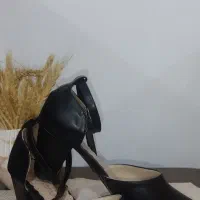 تعدادی کفش مجلسی شیک|کیف، کفش، کمربند|تربت جام, جامی|دیوار