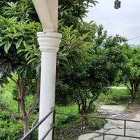 ویلا جنگلی/شبانه/روزانه/وییو کامل جنگل|اجارهٔ کوتاهمدت ویلا و باغ|چالوس, |دیوار