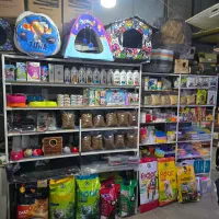 هرچی برای حیوان خونگیت بخوای، تو آبتین هست|لوازم جانبی حیوانات|شیراز, شهرک گلستان|دیوار