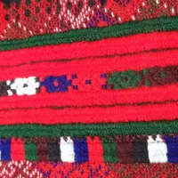 دوزنده زی آستین|لباس|سراوان, |دیوار