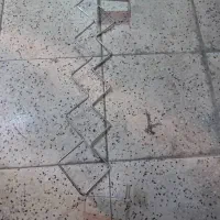 رگال زیگزاگی