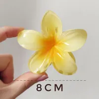 اکسسوری و بدلیجات
