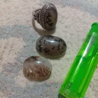 شجر|جواهرات|کرمان, |دیوار