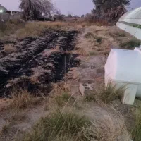 فروش گلخانه|خدمات باغبانی و درختکاری|زهک, |دیوار