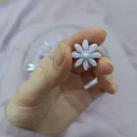 قند و نبات فانتزی|خوردنی و آشامیدنی|قم, گلزار|دیوار