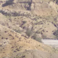 خانه اجاره ایی در مهران ایلام