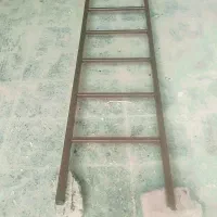 کبوتر‌نردبان