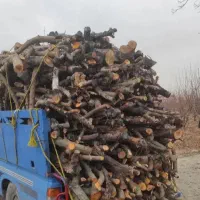 خرید چوب و قطع هر نوع درخت  (چوبوری)|خدمات باغبانی و درختکاری|هشتگرد, قاسم آباد بزرگ|دیوار