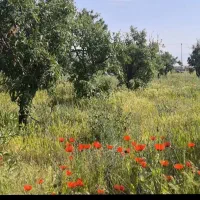 زمین-باغ