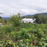 زمین مناسب بوم گردی در گیلان|فروش زمین و ملک کلنگی|لاهیجان, آهندان|دیوار