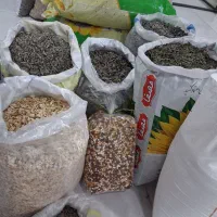 تنقلات شب یلدا بازرگانی امام رضا|خوردنی و آشامیدنی|کوهدشت, |دیوار