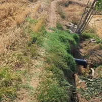 1.4 هکتار زمین زراعی- ارزان و فوری|فروش دفتر صنعتی، کشاورزی، تجاری|خرمدره, |دیوار