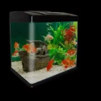 اکواریوم دلسا k580 تاپ فیلتر با ماهی و لوازم
