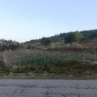 فروش فوری زمین کشاورزی