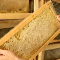 عسل اردبیل طبیعی