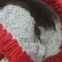 دو عدد کلاه و شال|کفش و لباس بچه|سقز, |دیوار