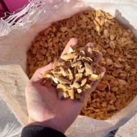 فروش پوست بادام خشک شده