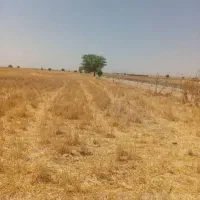 اجاره زمین کشاورزی۵۷هکتاربازدیدرامشیر|اجارهٔ دفتر صنعتی، کشاورزی، تجاری|اهواز, کوی شاهد|دیوار