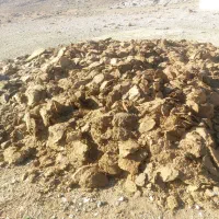 کود گوسفندی|لوازم جانبی حیوانات|پاسارگاد, |دیوار