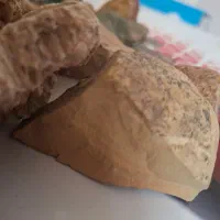 اهدای کلکسیون سنگ رایگان|بدلیجات|تهران, افسریه شمالی|دیوار