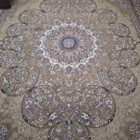 فرش|فرش|گنبد کاووس, |دیوار