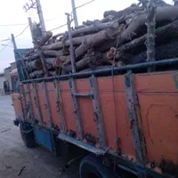 خرید چوب قطع درخت هرس درخت برش درخت|خدمات باغبانی و درختکاری|مشهد, رسالت|دیوار