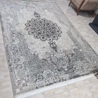 فرش ۶متری ۱۰۰۰شانه|فرش|رشت, حمیدیان|دیوار