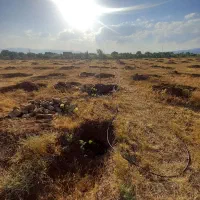 باغ-نهال-بالای-شناط