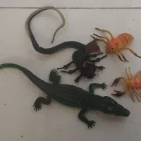 اسباب بازی های جذاب کودکانه|اسباببازی بچه|زاهدان, |دیوار