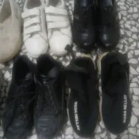 کفش همه باهم|کیف، کفش، کمربند|اردبیل, |دیوار