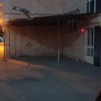 ایرانیت و چند شاخه قوطی