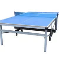 میز پینگ پنگ|ورزش‌های توپی|اراک, |دیوار