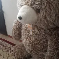 خرس بزرگ